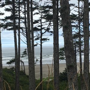 Meet your Posher, Camille